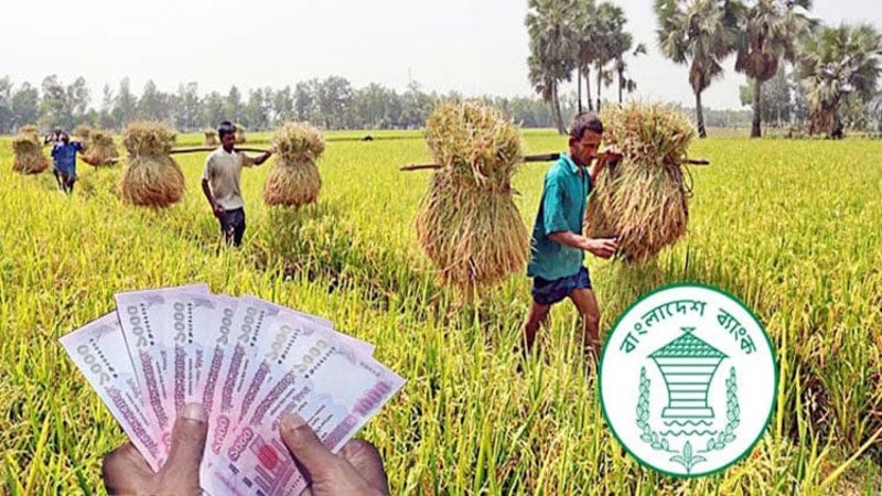 কৃষি খাতে লক্ষ্যমাত্রার ৫৪ শতাংশ ঋণ বিতরণ