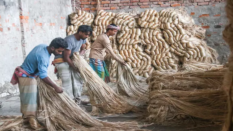 পাট খাতে উত্থান